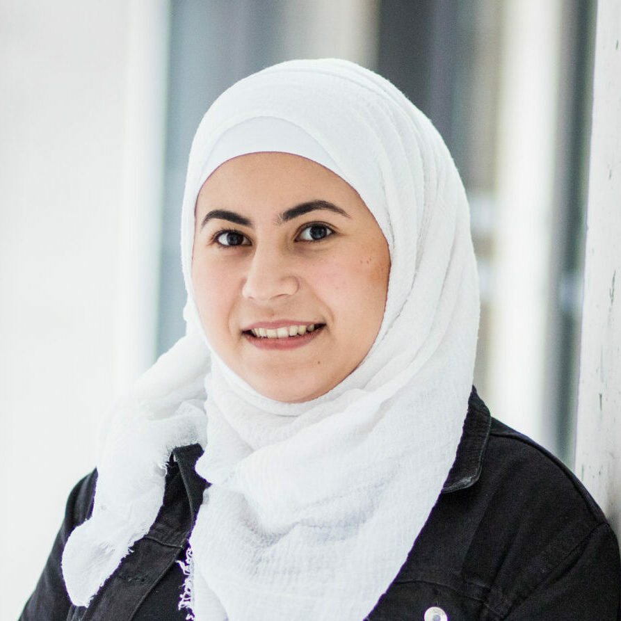 Noura - Mina Hassan - Pret